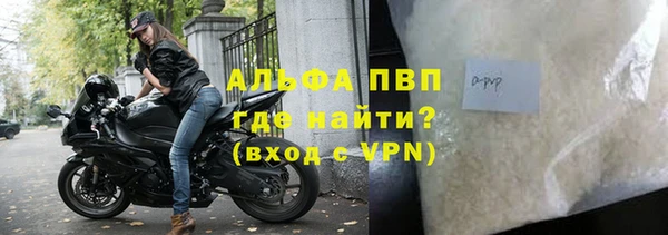 гидра Снежногорск