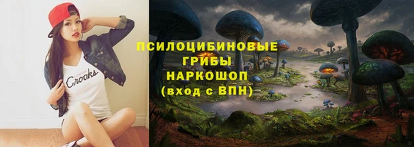 spice Сосновка