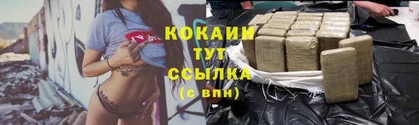 дживик Заполярный