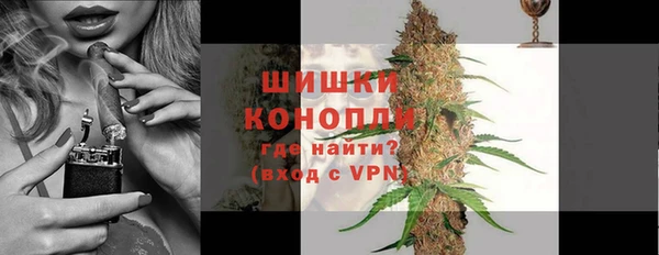 гидра Снежногорск