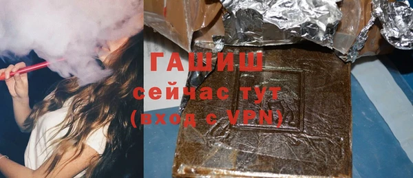 гидра Снежногорск