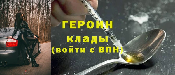 гидра Снежногорск